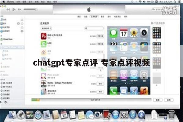 chatgpt专家点评 专家点评视频