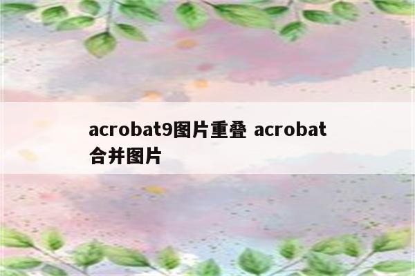 acrobat9图片重叠 acrobat合并图片