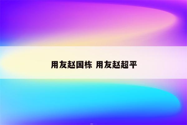 用友赵国栋 用友赵超平