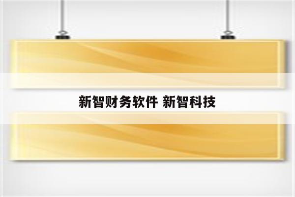 新智财务软件 新智科技
