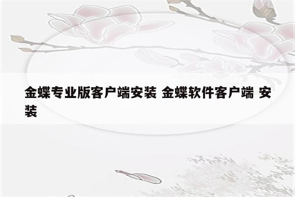 金蝶专业版客户端安装 金蝶软件客户端 安装
