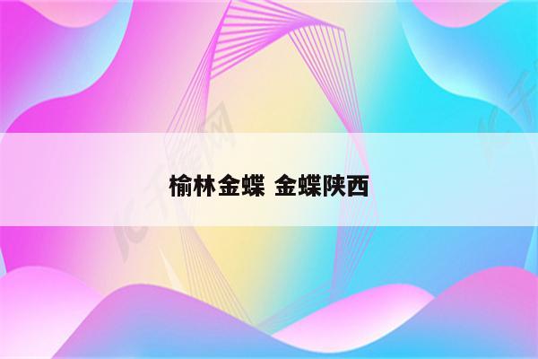 榆林金蝶 金蝶陕西
