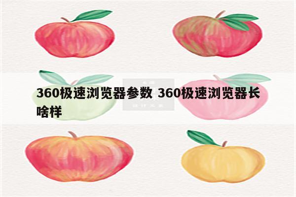 360极速浏览器参数 360极速浏览器长啥样