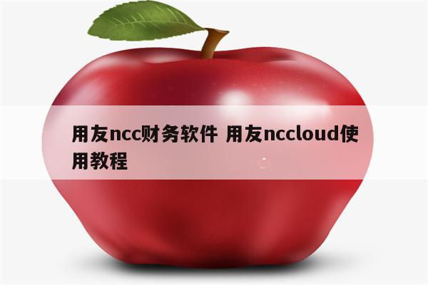 用友ncc财务软件 用友nccloud使用教程