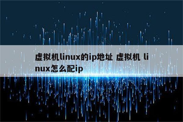 虚拟机linux的ip地址 虚拟机 linux怎么配ip
