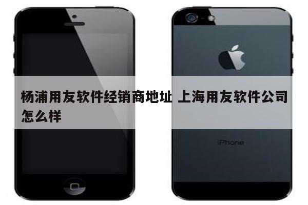 杨浦用友软件经销商地址 上海用友软件公司怎么样