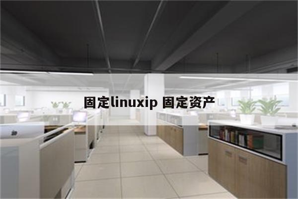 固定linuxip 固定资产