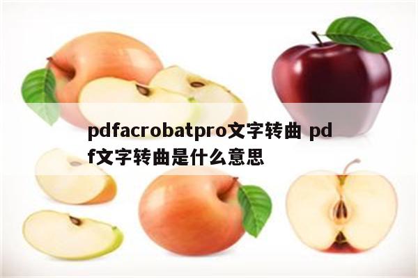 pdfacrobatpro文字转曲 pdf文字转曲是什么意思