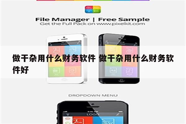 做干杂用什么财务软件 做干杂用什么财务软件好