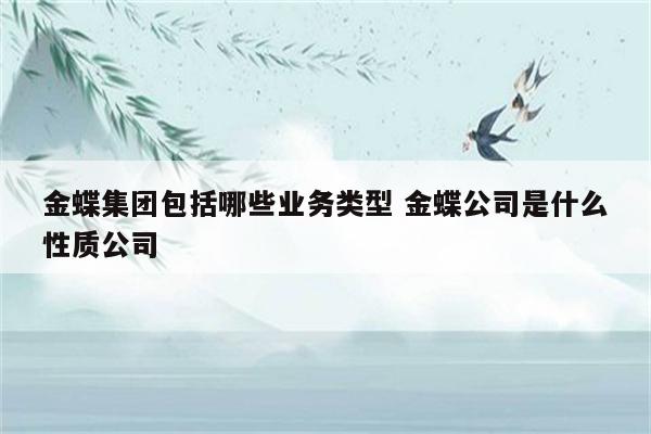 金蝶集团包括哪些业务类型 金蝶公司是什么性质公司