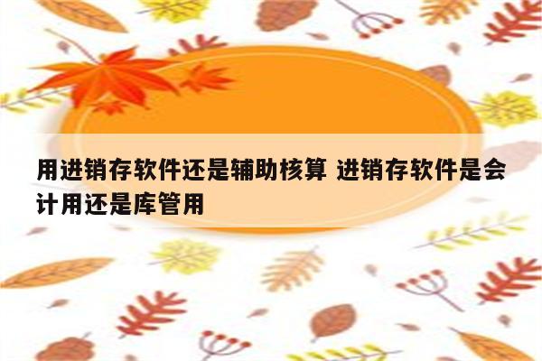 用进销存软件还是辅助核算 进销存软件是会计用还是库管用