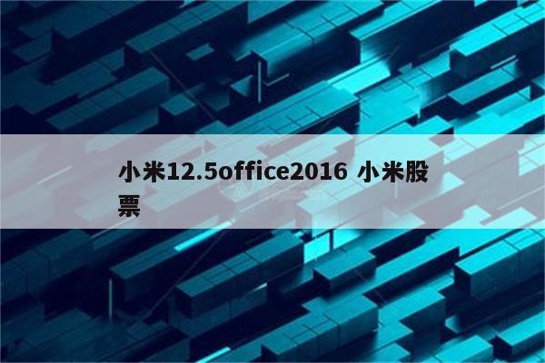 小米12.5office2016 小米股票