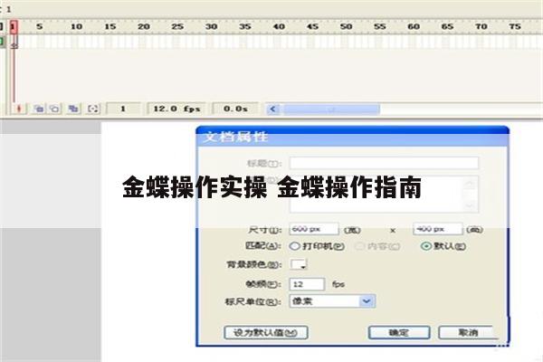 金蝶操作实操 金蝶操作指南