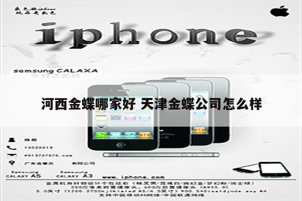 河西金蝶哪家好 天津金蝶公司怎么样