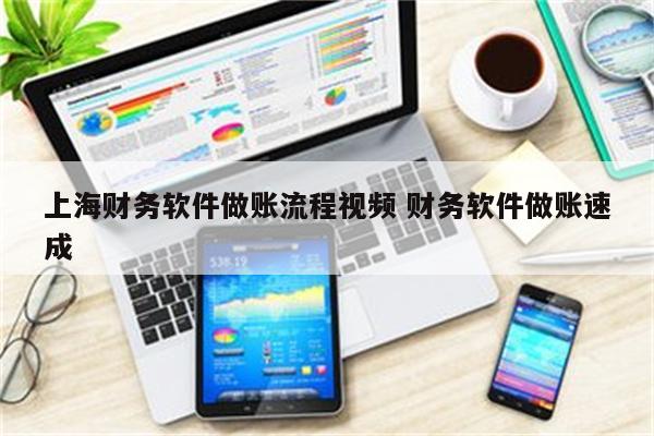 上海财务软件做账流程视频 财务软件做账速成