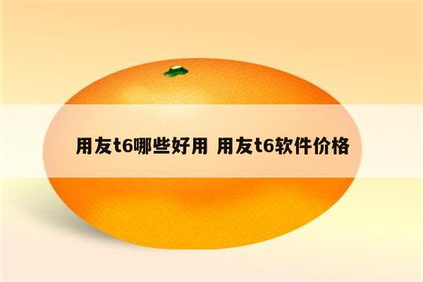 用友t6哪些好用 用友t6软件价格