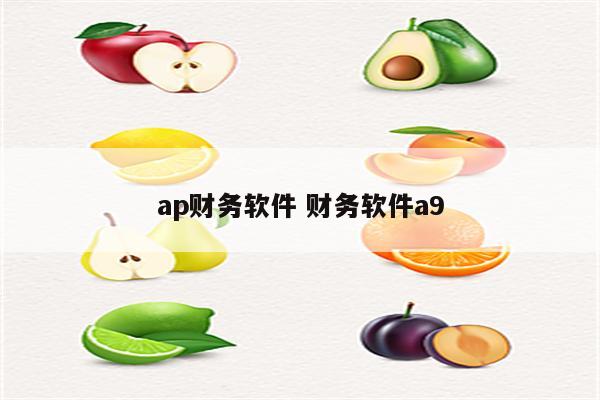 ap财务软件 财务软件a9