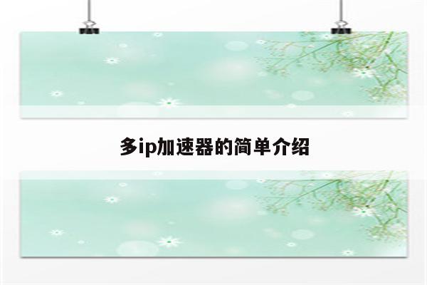 多ip加速器的简单介绍