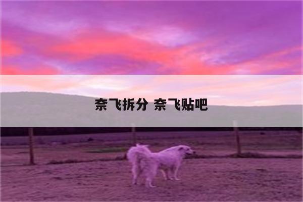奈飞拆分 奈飞贴吧