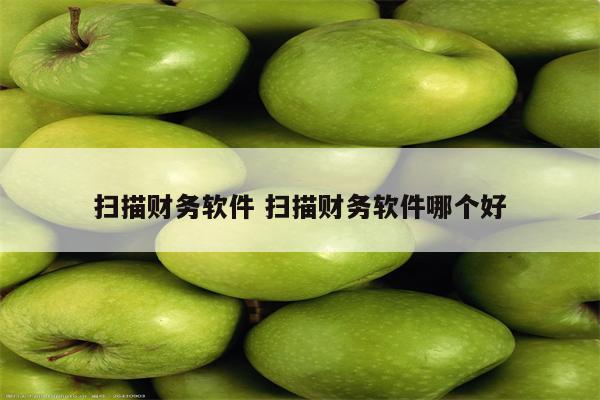 扫描财务软件 扫描财务软件哪个好