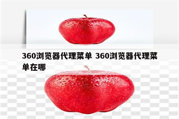 360浏览器代理菜单 360浏览器代理菜单在哪