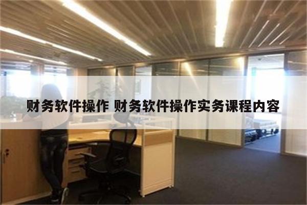 财务软件操作 财务软件操作实务课程内容