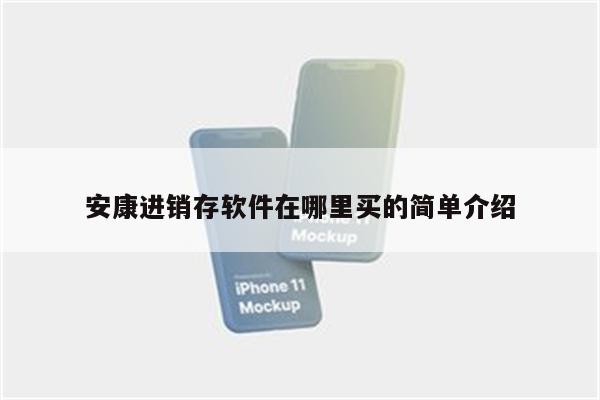 安康进销存软件在哪里买的简单介绍