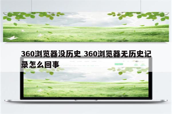 360浏览器没历史 360浏览器无历史记录怎么回事