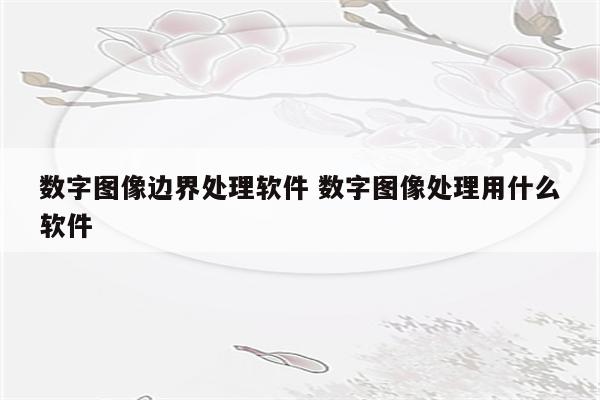 数字图像边界处理软件 数字图像处理用什么软件