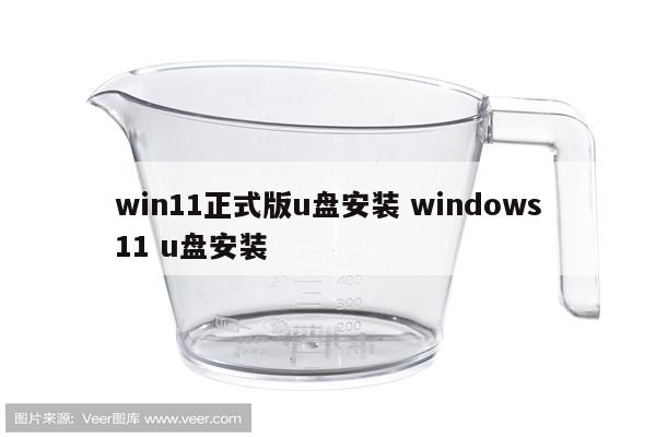 win11正式版u盘安装 windows11 u盘安装
