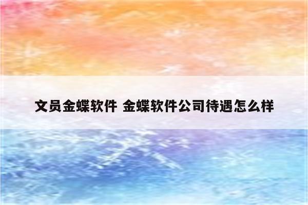 文员金蝶软件 金蝶软件公司待遇怎么样