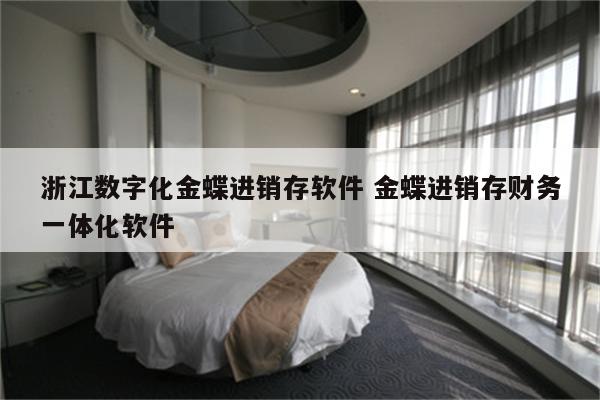 浙江数字化金蝶进销存软件 金蝶进销存财务一体化软件