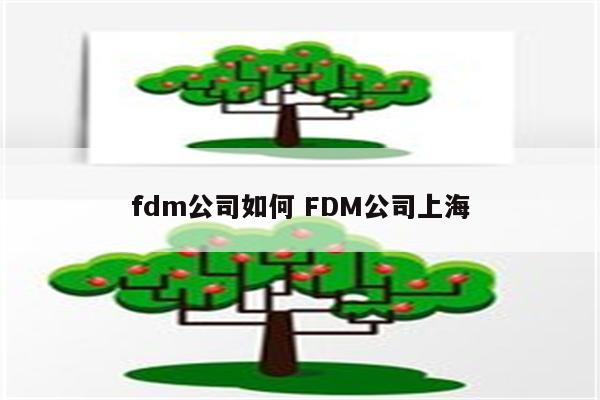 fdm公司如何 FDM公司上海