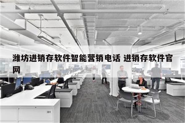 潍坊进销存软件智能营销电话 进销存软件官网