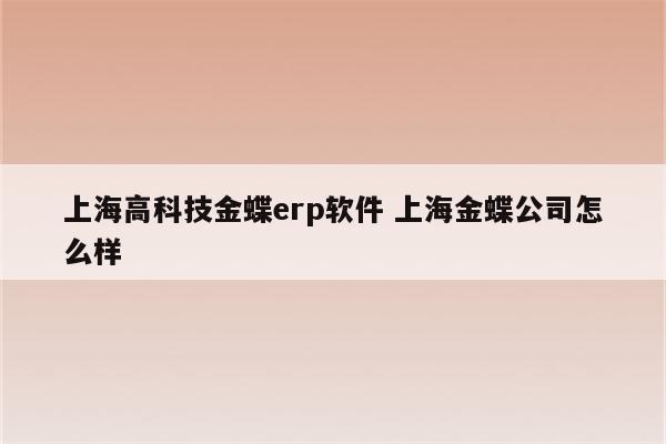 上海高科技金蝶erp软件 上海金蝶公司怎么样