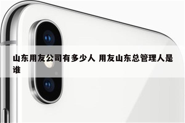 山东用友公司有多少人 用友山东总管理人是谁