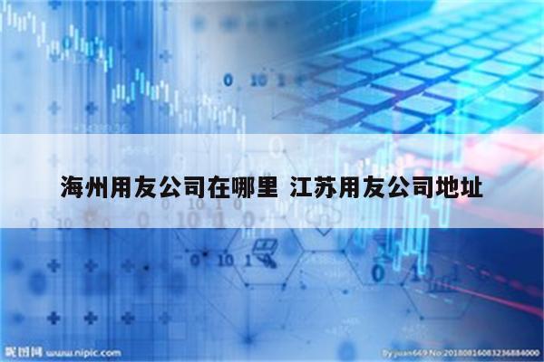 海州用友公司在哪里 江苏用友公司地址