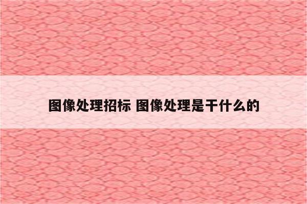 图像处理招标 图像处理是干什么的