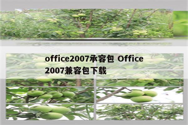 office2007承容包 Office2007兼容包下载