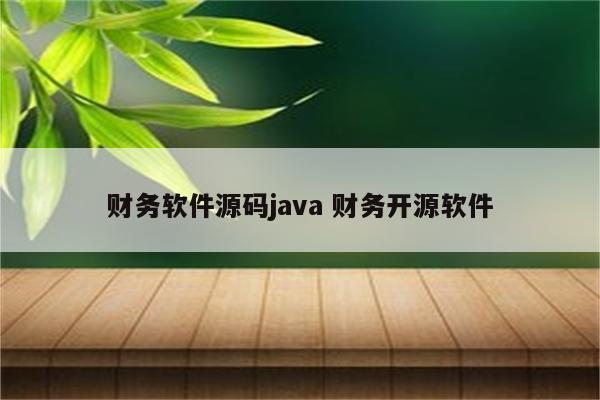财务软件源码java 财务开源软件
