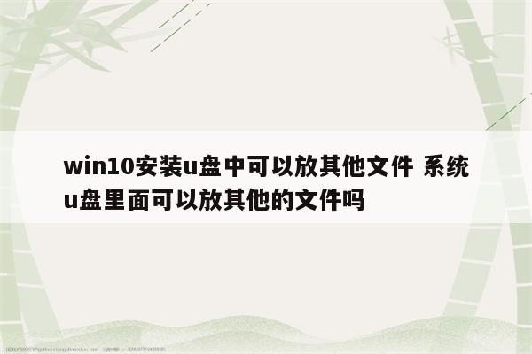 win10安装u盘中可以放其他文件 系统u盘里面可以放其他的文件吗