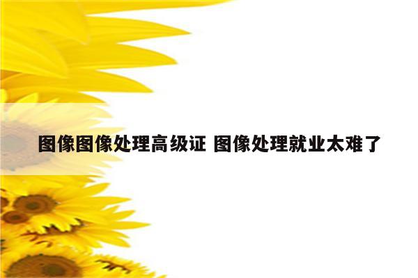 图像图像处理高级证 图像处理就业太难了