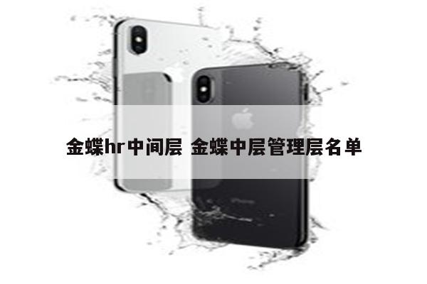 金蝶hr中间层 金蝶中层管理层名单