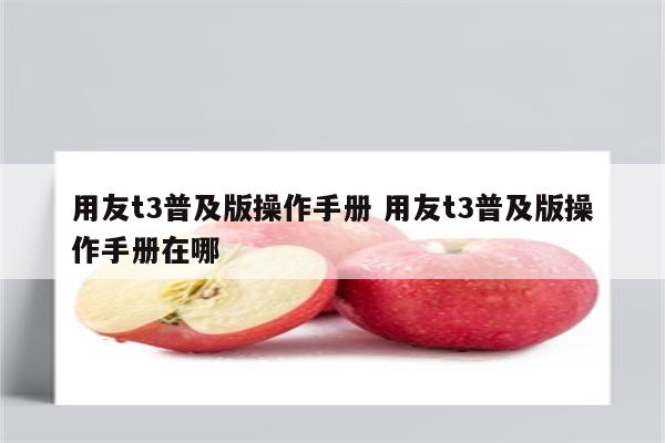 用友t3普及版操作手册 用友t3普及版操作手册在哪