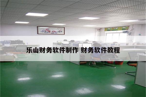 乐山财务软件制作 财务软件教程