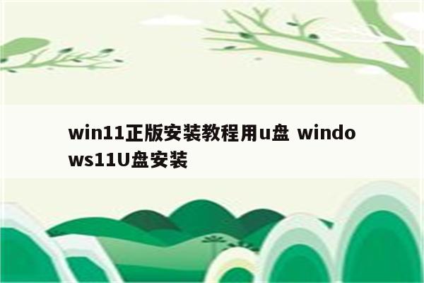 win11正版安装教程用u盘 windows11U盘安装