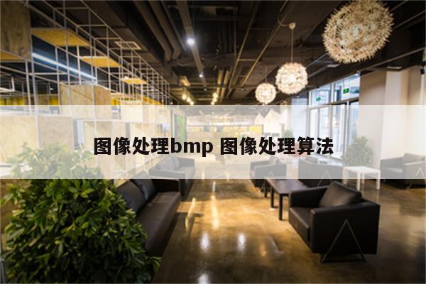 图像处理bmp 图像处理算法