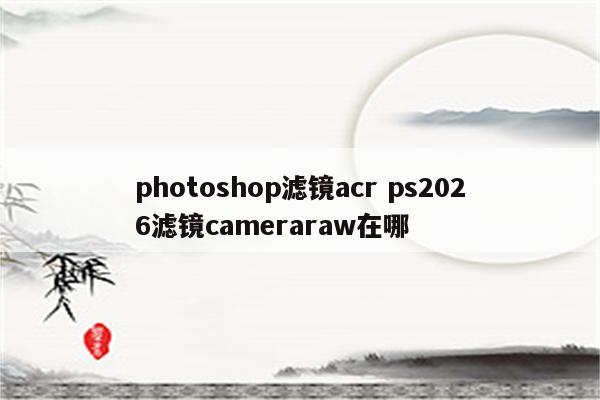 photoshop滤镜acr ps2026滤镜cameraraw在哪
