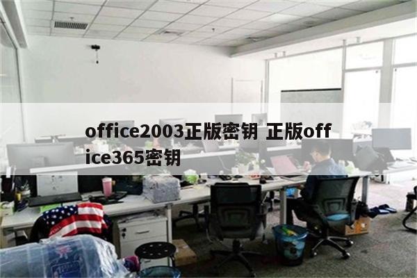 office2003正版密钥 正版office365密钥
