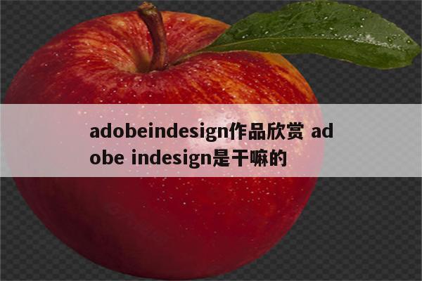 adobeindesign作品欣赏 adobe indesign是干嘛的